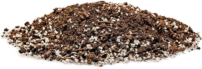 House Plant and Tropical Plant Potting Soil - Re-Potting Soil for All Types of Indoor House Plants - 2 Quart Bag