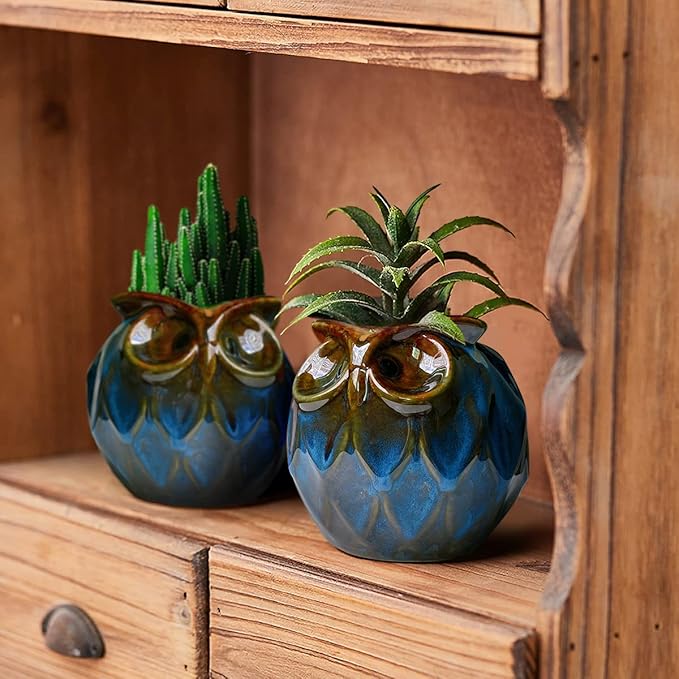 GeLive Blue Owl Ceramic Succulent Planter with Drainage Hole Animal Plant Pot Tabletop Decoration Vase Window Box Indoor Outdoor Decor (Blue)