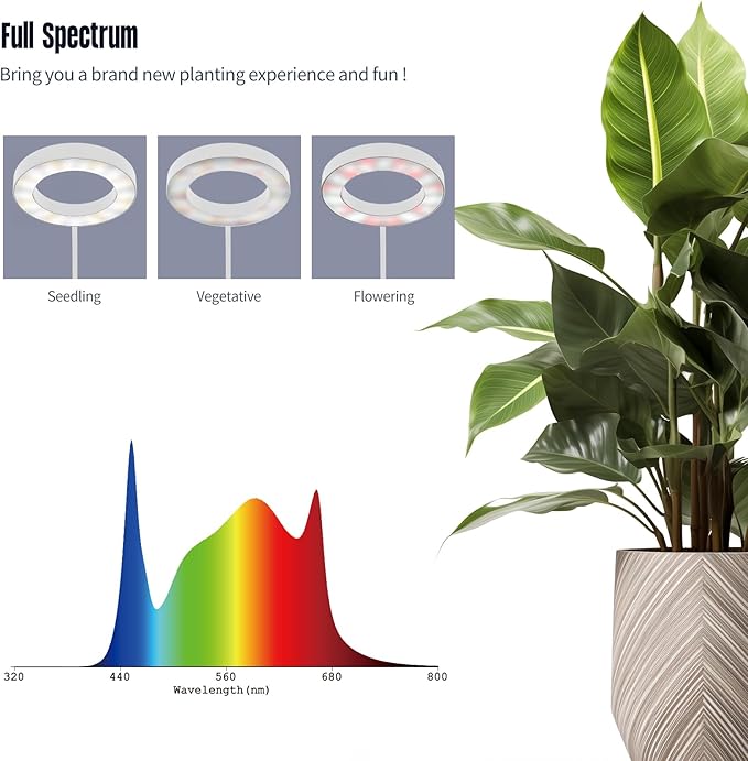 GLOWRIUM Indoor Grow Light, 40 Watt Full Spectrum LED Plant Growth Light with Stand, Adjustable Height with Timer 3/9/12 hrs, White LED Plant Lamp