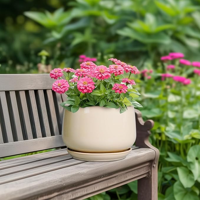 G EPGardening Ceramic Planter - 7 Inch Plant Pots with Drainage and Ceramic Tray, Flower Pots for Indoor Plants, Round Outdoor Planter, Room Decor, Gifts for Plant Lovers, Beige