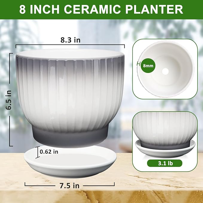 8 Inch Plant Pot, Ceramic Planter with Drainage and Saucer, Ceramic Pots for Plants, Indoor Plant pots,Ceramic Flower pots(Gray + White, Plants NOT Included)