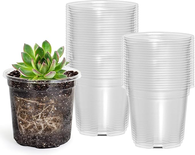 60 Packs 3.5 Inch Reinforced Clear Nursery Pots with Drainage Hole, Transparent Variety Pack Plastic Plant Pot Seedling Planter Seed Starter Flower