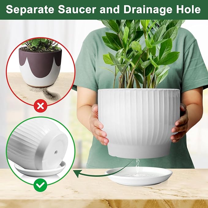 8 Inch Plant Pot,Ceramic Planter with Drainage and Saucer,Ceramic Pots for Plants,Indoor Plant pots,Ceramic Flower pots(Pure White, Plants NOT Included)