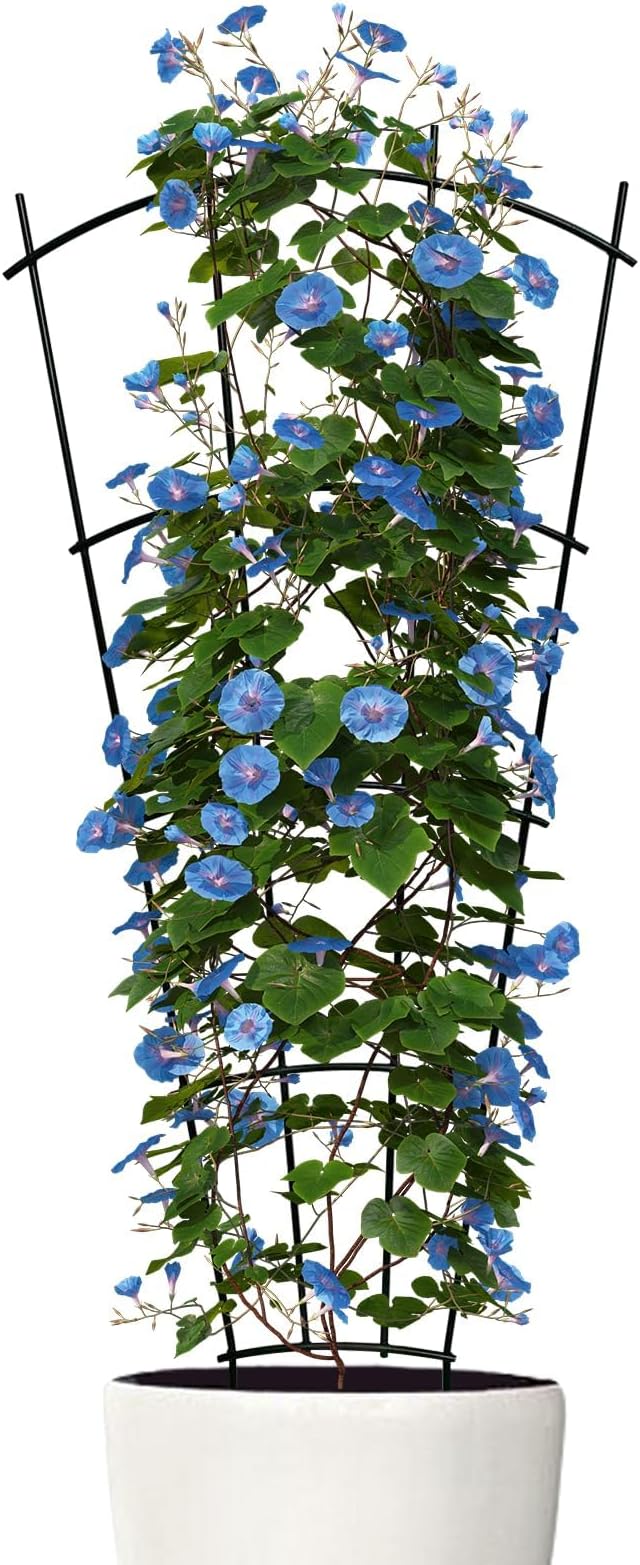 4 Pack 43'' Indoor Plant Trellis for Potted Plants Climbing Outdoor Metal Garden Trellis Houseplants Flowers Vine Ivy,Fan Shape, Black