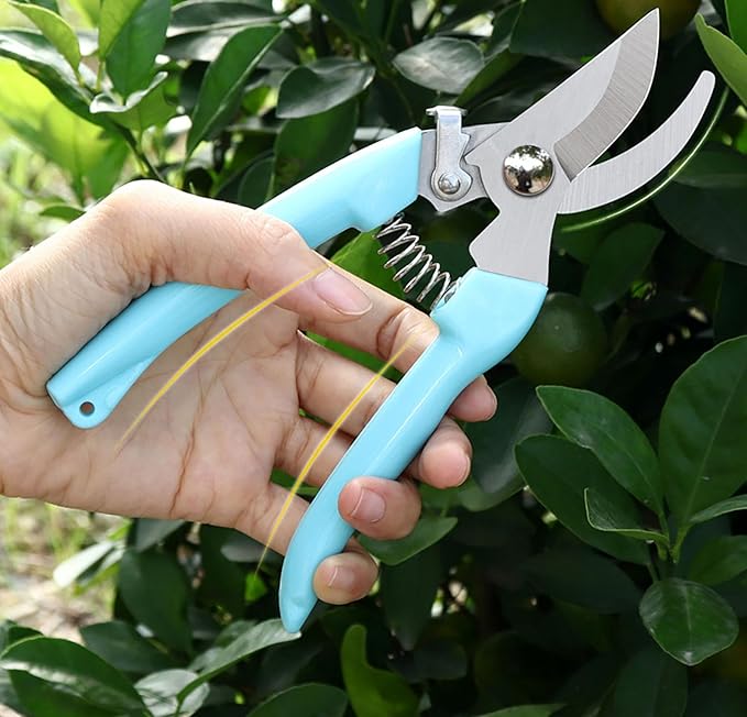 5pcs Garden Flower Shears Pruning Shears 6.9 inches Scissors Heavy Duty Plant Scissors for Cutting Flowers, Trimming Plants, Bonsai, Fruits Picking (Blue Handle 5pcs)
