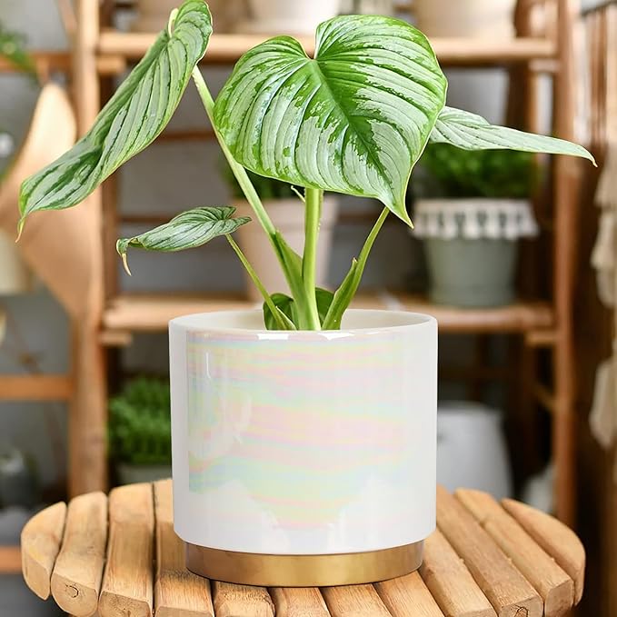 Gepege White Indoor Pots for Plants, Ceramic Planter with Drainage Hole, 9.6inch+7.6Inch+6Inch. Succulent Orchid Flower Pot - Rainbow Pearl Glaze