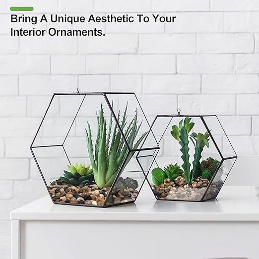 5 lbs Pebbles for Indoor Plants, Succulent, Bamboo, Vase, 3/8" Plant Rocks for Pots Indoor, Small River Rocks Decorative Pea Gravel, Highly Polished