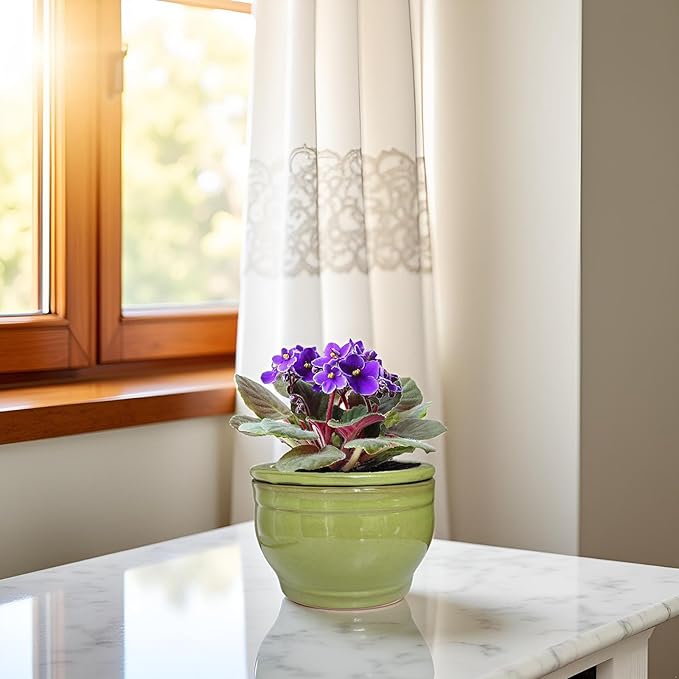 African Violet Pots Self Watering Round Ceramic Violet Pot (Green, 6 inch)