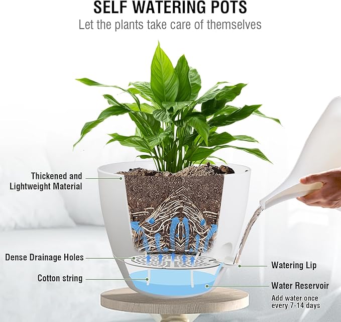 10 inch Self Watering Hanging Planters, 2 Pack Hanging Flower Pots for Indoor Outdoor Plants, Hanging Baskets with Drainage Holes & 2 Kinds of Plant Hangers for Garden Home Decor, White