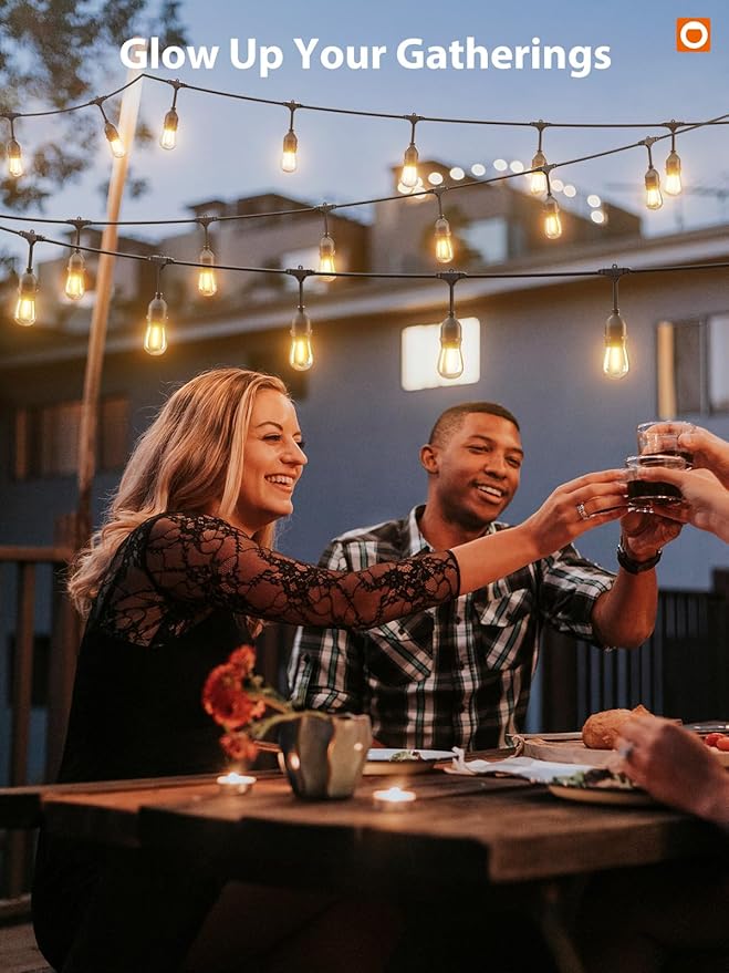 addlon Outdoor String Lights Timer Control, 48FT LED Patio Light with Edison Vintage Shatterproof Bulbs and Commercial Grade Weatherproof Strand - ETL Listed Heavy-Duty Decorative Lighting