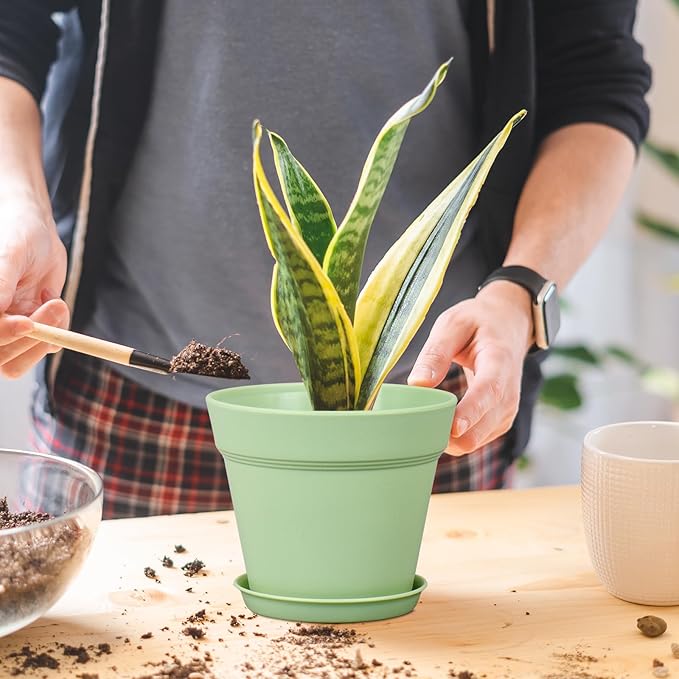 6 inch Plastic Nursery Pots, Seedling Pots, 16 Pack Plant Pots for Small Indoor Outdoor Plants, Flower Pots with Drainage Holes and Saucers, Decorative Planters for House Plants, Green