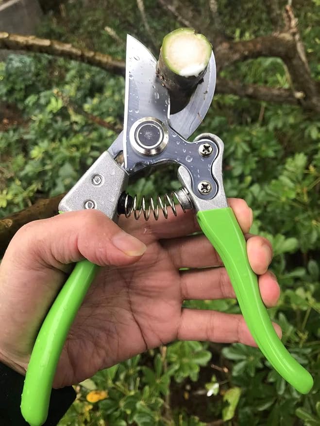 Garden Shears, Japanese Pruning Shears for Heavy Duty, Flowers Herbs Grapes Plant and Branch Cutters, Clippers, Trimmers, Scissors (Green)