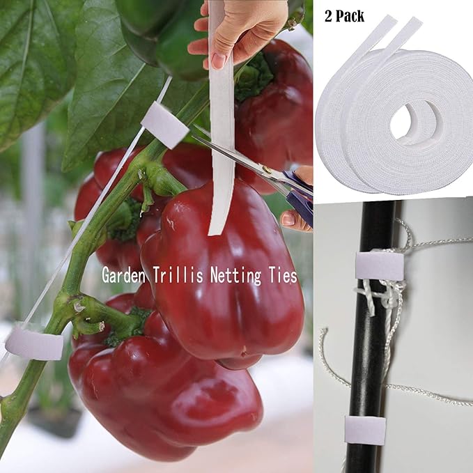 All-Weather Trellis Netting Mesh Plant Garden Vine Growing Flexible String Net (6" Mesh ployester, 5' Wx 60'L)