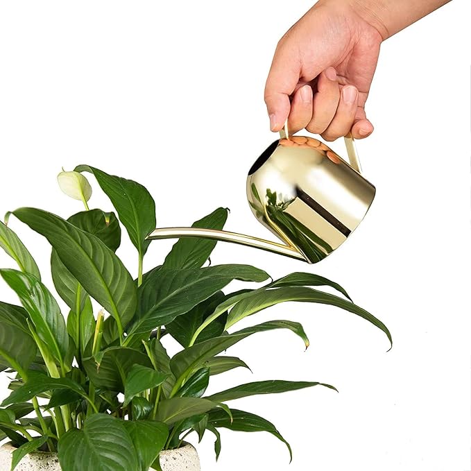 IMEEA Gold Watering Can for Indoor Plants, Orchid, Bonsai - Stainless Steel With Long Spout for House, Desk, Office - 15oz/450ml