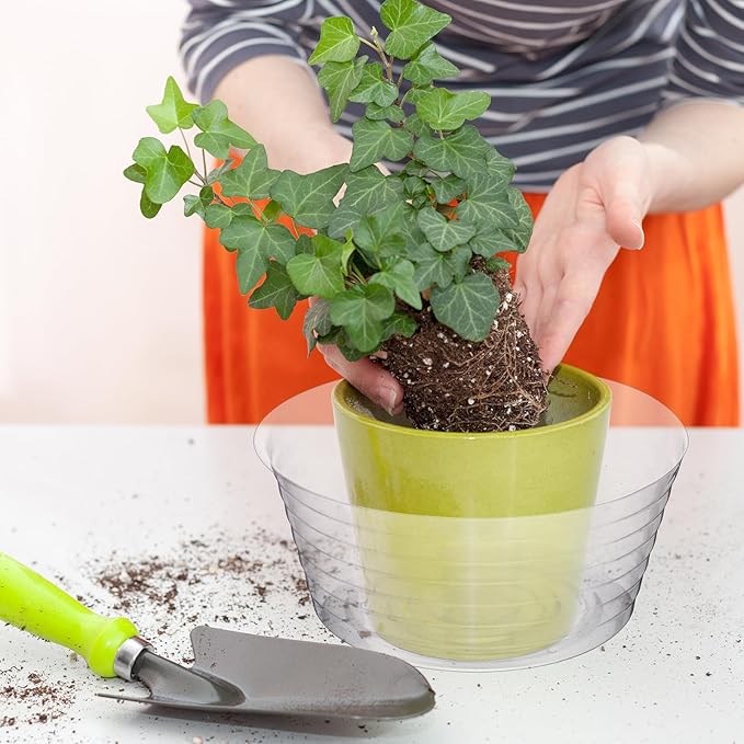 Hoolerry Plastic Plant Saucer Clear Deep Drip Tray Thickened Clear Plant Saucers Trays for Pots Deep Drip Trays for Home Garden Indoor and Outdoor Potted(15 Pcs,8, 10, 12 Inch)