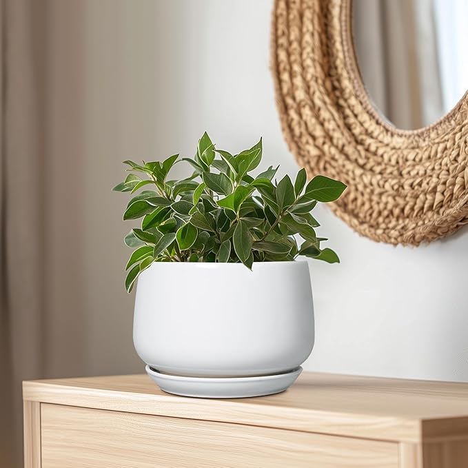 G EPGardening Ceramic Planter 9 Inch - Plant Pots with Drainage and Ceramic Saucer, Flower Pots for Indoor Plants, Modern Outdoor Planter, Living Room Decor, Gifts for Plant Lovers, White
