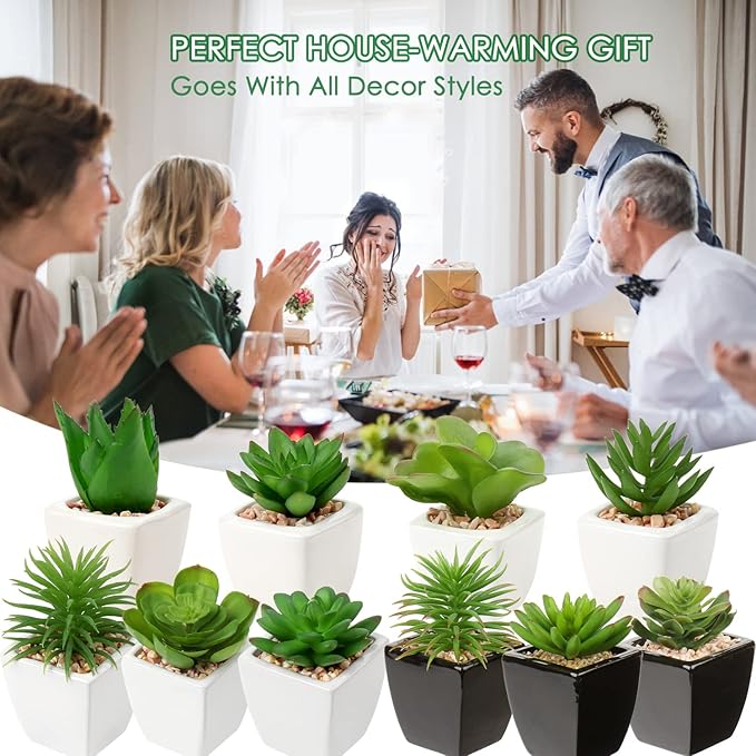 Hollyone Succulents Plants Artificial 3Pcs Small Fake Succulents in Pots Faux Plastic Potted Plants with White Ceramic Pot for Home Decor Classroom Office Bathroom Shelf Indoor & Outdoor Decorations