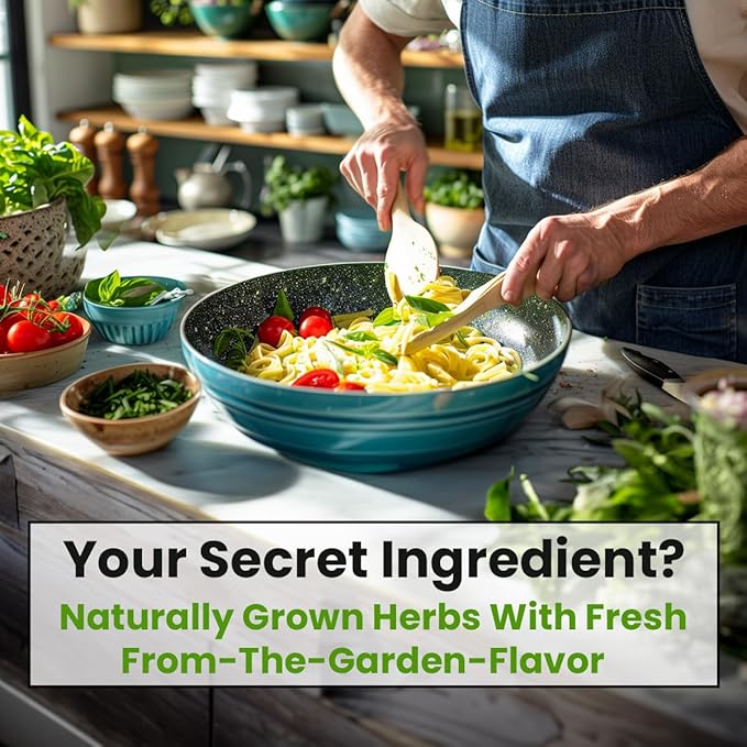 5 Herb Seeds Variety Kit, Oregano, Cilantro, Parsley, Basil, Chives