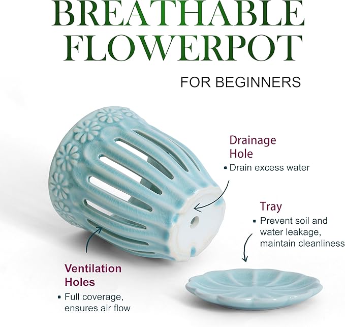 5" Ceramic Orchid Pot with Saucer: Ceramic Orchid Planter for Repotting - Plant Flower Pots for Orchid Indoor Outdoor - Orchid Pots with Holes - Orchid Container with Drainage Holes and Tray