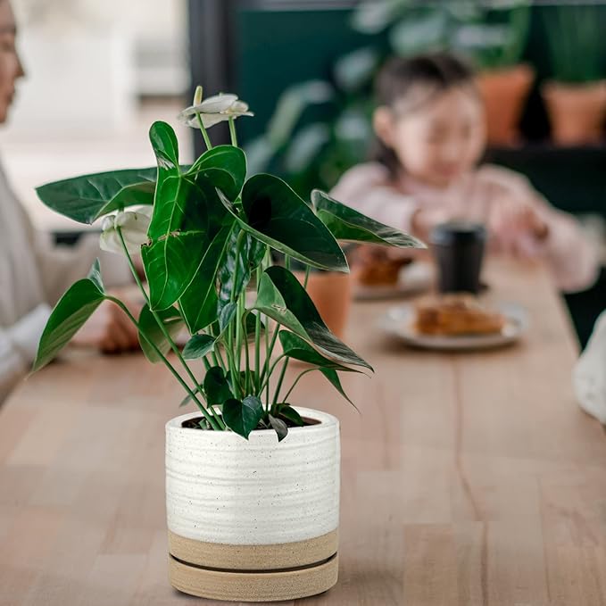 6 Inch Plant Pots, Ceramic Planter Pot with Drainage Hole & Saucer, Indoor/Outdoor Cylinder Round Planter Pot, White & Beige Glaze