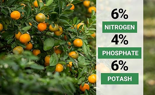 6-4-6 Avocado and Citrus Tree Professional Fertilizer Plant Food for Outdoor/Indoor Gardening; Quick-Release Nitrogen Fertilizer; Orange, Lime, Avocado and Lemon Tree Fertilizer (4 QUARTS)