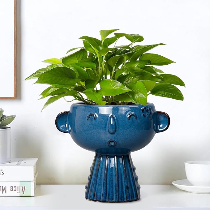 Head Planter Pot - 7 Inch Cute Face Planter for Indoor Outdoor Plants Ceramic Succulent Pot Round Flower Pot Present for Mother Christmas with Drainage Hole Blue