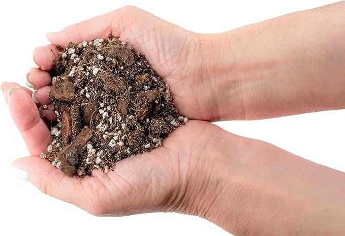 Gardenera's Professional Grade Potting Mix for Peace Lilies : The Perfect Growing Environment for Your Indoor Plants [2-Quart Bag]