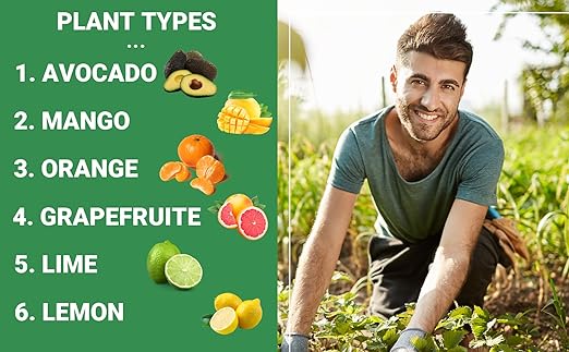6-4-6 Avocado and Citrus Tree Professional Fertilizer Plant Food for Outdoor/Indoor Gardening; Quick-Release Nitrogen Fertilizer; Orange, Lime, Avocado and Lemon Tree Fertilizer (2 QUARTS)
