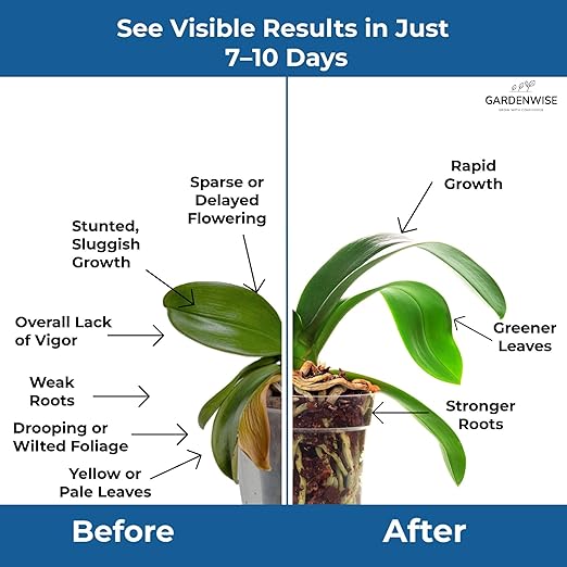 20-20-20 Water-Soluble Fertilizer – Powder for Liquid Plant Food for Indoor & Outdoor Plants, Orchids, Vegetables, Lawns, Flowers – 20 20 20 Fertilizer (8 oz)