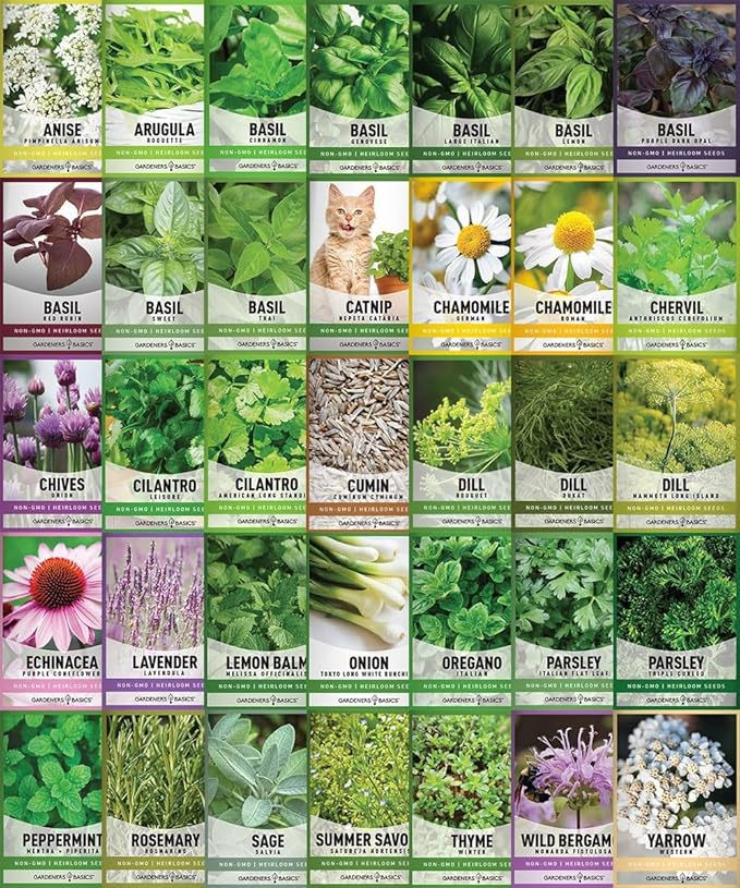 Gardeners Basics Complete Medicinal Herb Seeds for Planting Collection - 35 Best Herbs Variety Pack for Teas and Home Remedies - Indoor, Outdoor, Hydroponic Herbal Herbalist Seed - Non-GMO, Heirloom