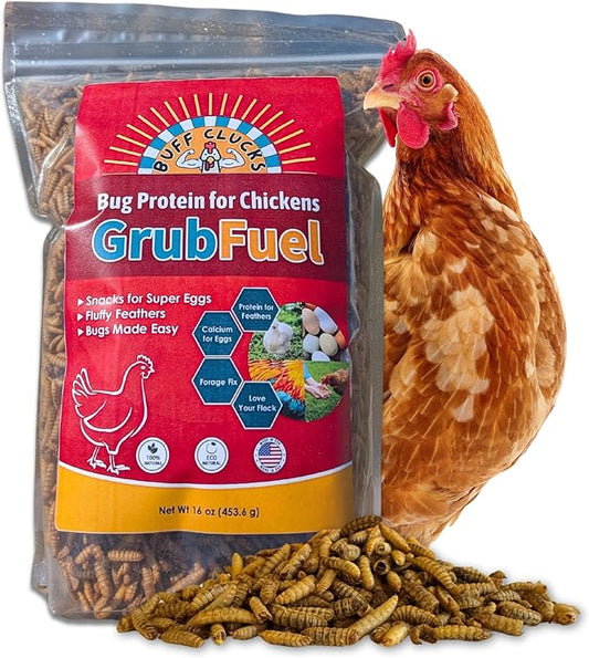 Grub Fuel Black Soldier Fly Larvae for Chickens - Nutrient-Packed BSFL, Sustainably Sourced Snack for Poultry, Rich in Protein, Calcium, Fiber, Essential Fatty Acids, USA Grown (1LB)
