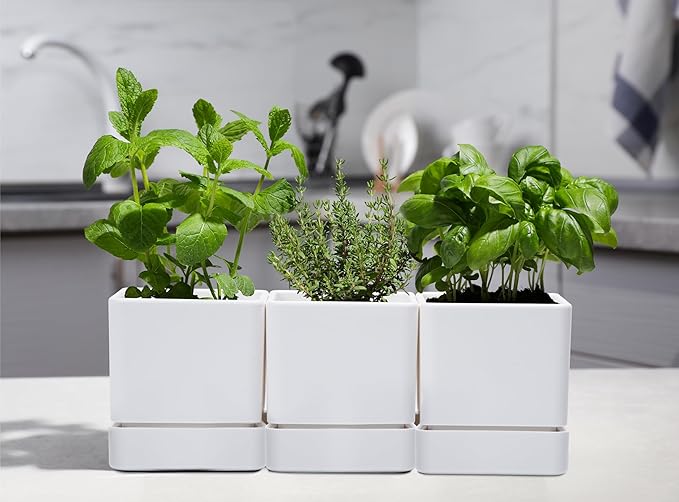 4 Inch Herb Planter Pot, Plastic Planter with Drainage Holes and Saucer, Modern Decorative Gardening Pot for Indoor Plants, Flowers, Herbs, Succulents, White, Set of 3, 76-Y-A-3