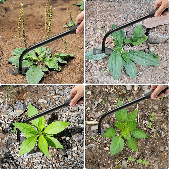 Gardening Hand Weeder Tools, Weeding Artifact Uprooting Weeding Tool, Durable Manganese Steel Hand Weeder Tool, Manual Multifunctional Weeders Gardening Tools for Yard and Garden (6 Teethes), 2 Pack