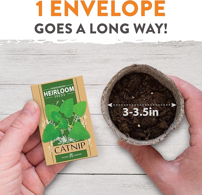 HOME GROWN 2,160+ Cat Plant Seeds Mix – 𝗡𝗢𝗡-𝗚𝗠𝗢 𝗨𝗦𝗔-𝗦𝗢𝗨𝗥𝗖𝗘𝗗 Heirloom Catnip, Lemongrass, Licorice, Thyme & Valerian – Pet-Friendly Indoor Garden Refill Kit for Cats & Kittens