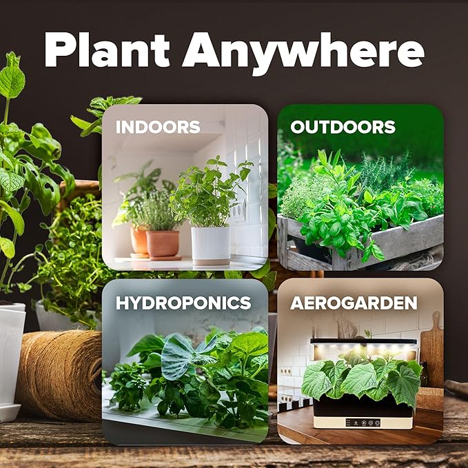 HOME GROWN 6000 Vegetable Seeds for Planting: 12 Spring Varieties of Garden Vegetables in Seed Packets, Garden Seeds for Garden Plants or Hydroponic Seeds - Heirloom Seeds - Non GMO