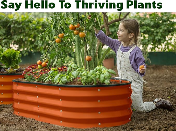 Galvanized Raised Garden Beds Outdoor // 4×2×1 ft Planter Raised Beds for Gardening, Vegetables, Flowers (Orange) // Large Metal Garden Box