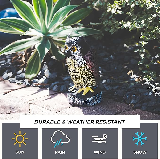 Galashield Owl Decoy to Scare Birds Away | Plastic Owls to Scare Birds Away | Owl Statue for Garden & Outdoors by Galashield [Set of 2]