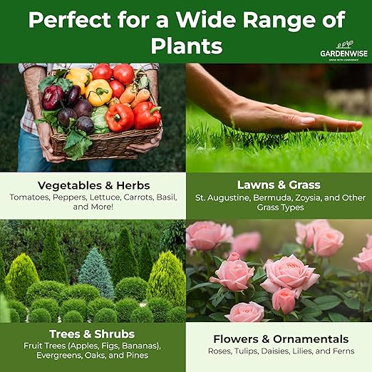 10-10-10 Plant Fertilizer Slow Release - 10 10 10 All Purpose Granular Garden Fertilizer for Vegetables, Tomato, Arborvitae, Shrubs, Rose, Flowers, Fruit, Fig Trees (1 Quart)