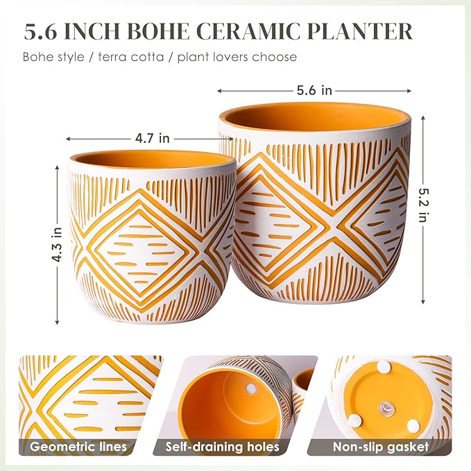 2 Boho Style Terra Cotta Pots, 6 Inch Yellow Plant Pots with Drainage Holes, Suitable for Indoor Plants Ferns,Vines, Succulents and Outdoor Plants Growing, a Gift for Plant Lovers