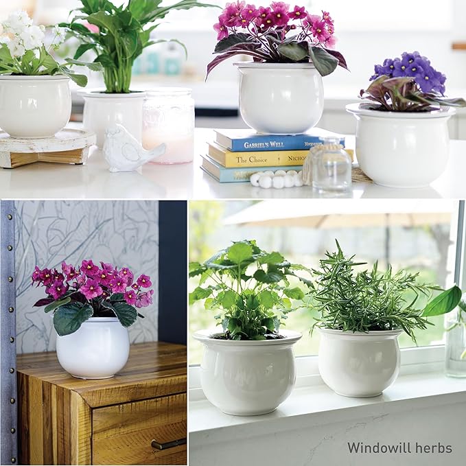 African Violet Pots Ceramic 6.5”W x 4.6”H Self Watering Planter for Indoor Flowers and Plants – White Glazed Outer Plant Pot with Highly Absorbent Inner Planter Pot for Tropical Plants