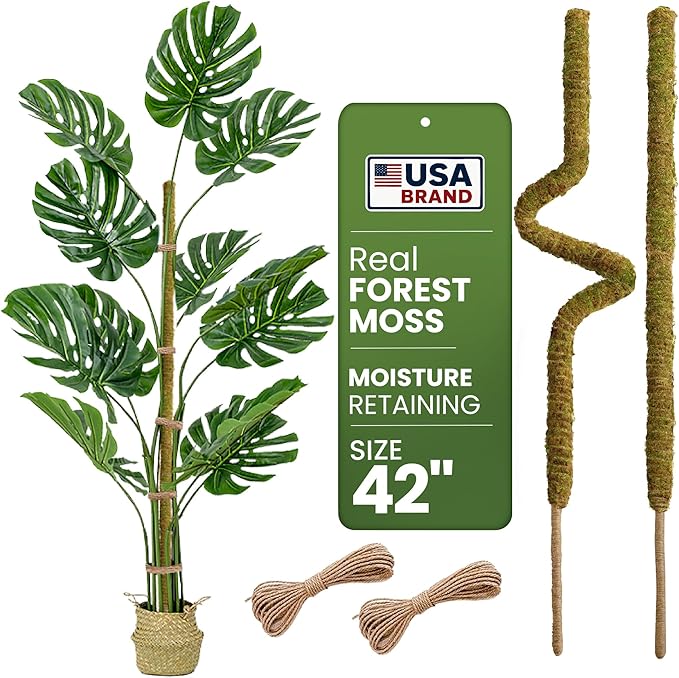2 Pack 42'' Bendable Moss Pole Monstera Plant Support - Real Forest Moss for Climbing Indoor Plants - Stakes for Potted Climbers - Tall Sticks Indoor Trellis for Houseplants - Pot Accessories