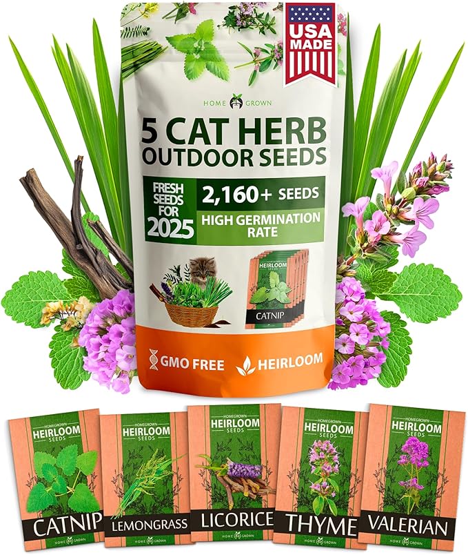 HOME GROWN 2,160+ Cat Plant Seeds Mix – 𝗡𝗢𝗡-𝗚𝗠𝗢 𝗨𝗦𝗔-𝗦𝗢𝗨𝗥𝗖𝗘𝗗 Heirloom Catnip, Lemongrass, Licorice, Thyme & Valerian – Pet-Friendly Indoor Garden Refill Kit for Cats & Kittens