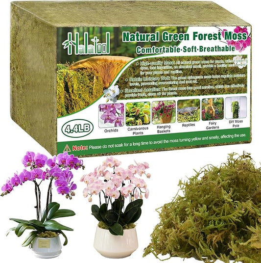 Halatool 4.4LB Green Forest Moss Natural Sphagnum Moss for Plants Fluffy Orchid Moss for Orchids Repotting Dried Plant Moss for Potted Plants Indoor & Outdoor