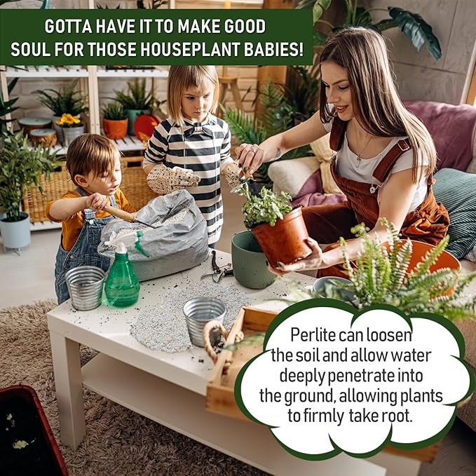 20QT Horticultural Perlite Bulk, Organic Perlite for Plants, Course Perlite for Gardening, for Plants Indoor, for Houseplants, to Promotes Soil Root Growth, and Water Drainage and Plant Growth(3-6mm)