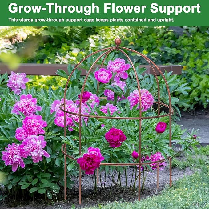 1 Pcs Jardin Bird Cage Plant Support 24" H Large Sturdy Grow-Through Flower Support Peony Cage Climbing Plant Support Trellis Sculptural Garden Decor for Perennial Flowers Vintage Gold