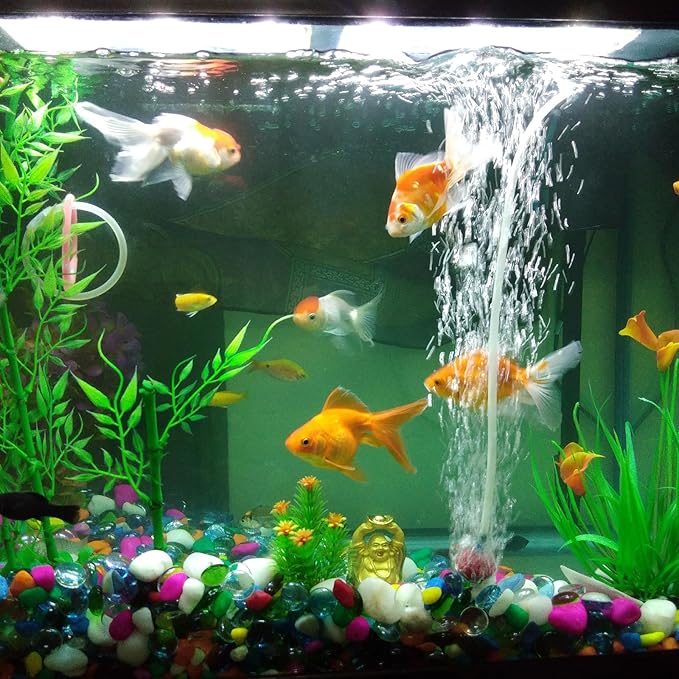 1 1/4" x 1 1/2" Clear Plastic PVC Tubing 5ft Flexible Vinyl Tube, [for Garden Irrigation, Water Hose, Fish Tank, Aquarium] - 31.8mm x 38.1mm