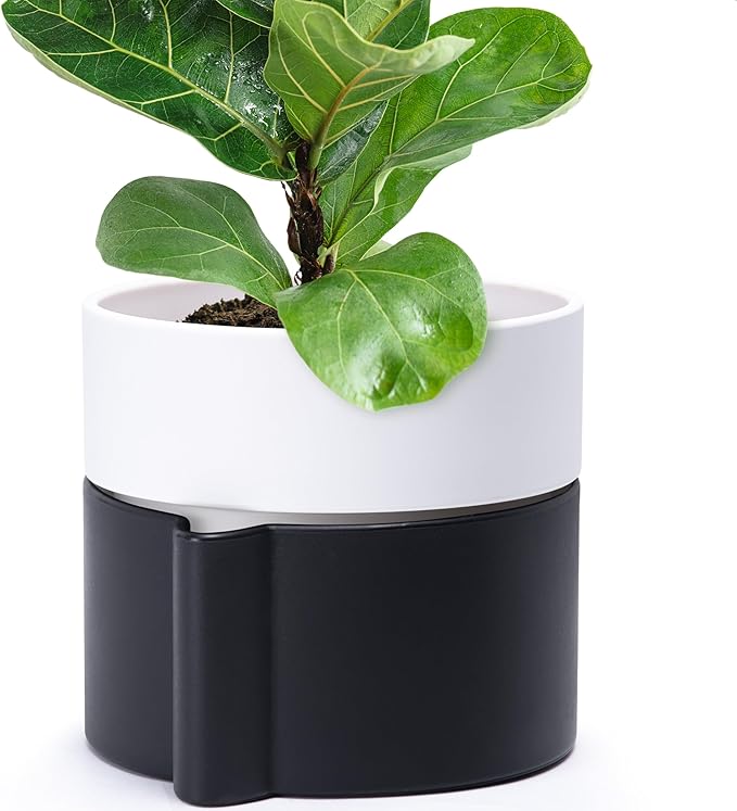 8 Inch Self-Watering Planter Pot with Terracotta Insert, Deep Water Reservoir, and Ceramic-Alike BPA-Free Plastic Planter Pot for Plant, Modern Planter for Houseplants, Black/White, 53-C-T-7