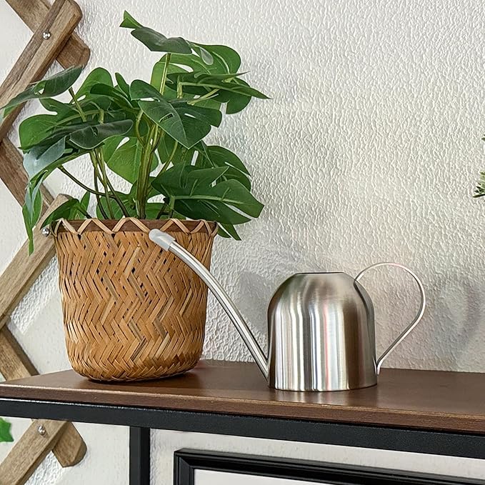 IMEEA Small Watering Can for Indoor Plants Stainless Steel Bonsai Watering can Mini Metal (15oz/450ml)