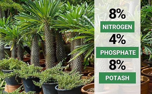 8-4-8 Professional Palm Tree Fertilizer Plant Food; for Indoor Potted Plants and Outdoor Landscape Palm Trees; Quick-Release Nitrogen Fertilizer and Continuous Feeding (1 Quart)