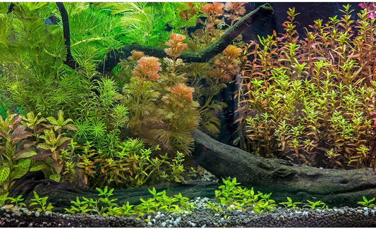 Aquarium Backdrop Underwater Grass Leaves with Pebbles Exquisite Aquarium Background Vivid Green Aquatic Plant Stone River Bed Fish Dead Wood Fresh Leaves Tank Background Decors Vinyl 72x24in